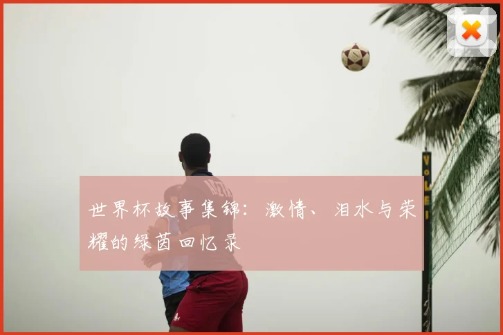 世界杯故事集锦:激情、泪水与荣耀的绿茵回忆录